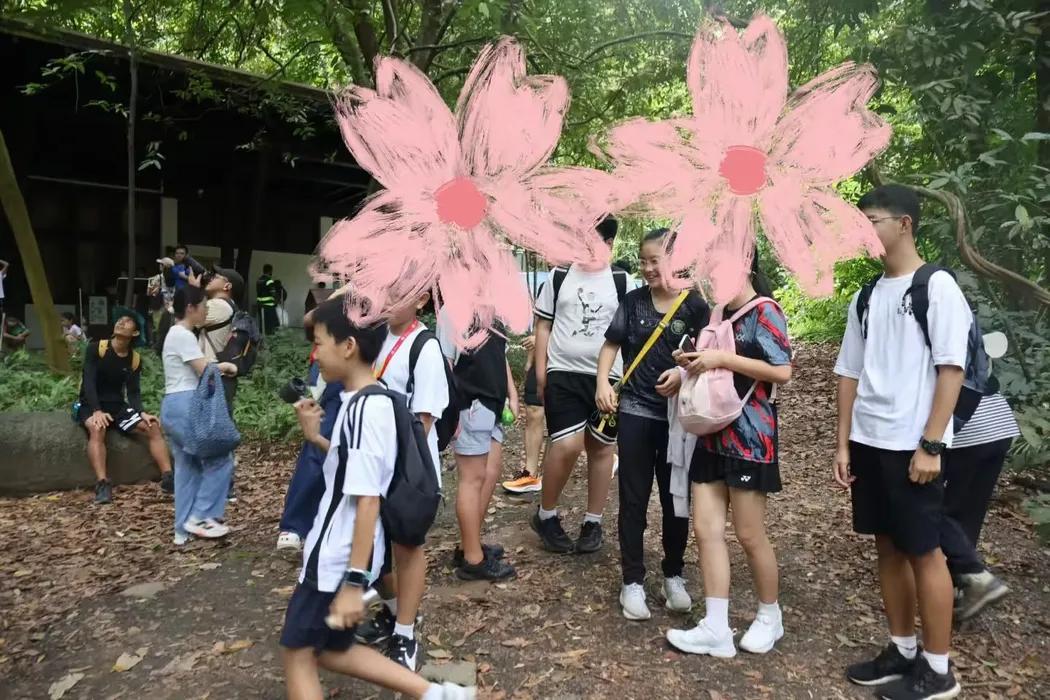 森林徒步和聚餐活动照片 2
